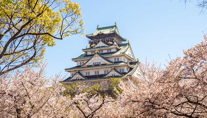 Here’s What You Need to Know Before Visiting Japan in Spring 2026